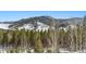 Scenic view of a snow-covered mountain and pine trees providing a picturesque backdrop to the property at 6100 Bear Paw Rd, Golden, CO 80403