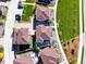 Overhead view of houses featuring neat landscaping and private outdoor spaces in a quiet area at 2936 Merry Rest Way, Castle Rock, CO 80109