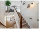 Carpeted staircase with white railings leads to the upper level, offering a warm and inviting atmosphere at 2936 Merry Rest Way, Castle Rock, CO 80109