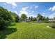 Expansive backyard with lush green lawn, mature trees, and clear blue sky at 675 Holland St, Lakewood, CO 80215