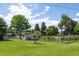 Well-maintained backyard featuring a lush lawn, mature trees, and plenty of open space at 675 Holland St, Lakewood, CO 80215