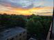 Beautiful sunset view over lush trees, offering a serene and picturesque backdrop to the property at 1313 Steele St # 606, Denver, CO 80206