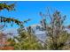 Stunning mountain views framed by lush trees from the deck at 30813 Kings Valley Dr, Conifer, CO 80433