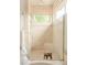 A walk in shower with tan tiles, a glass surround and transom window at 2990 Osceola St, Denver, CO 80212