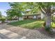 Charming two-story home with a well-manicured lawn, mature trees, and inviting curb appeal at 874 Mercury Cir, Lone Tree, CO 80124