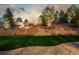 Backyard with custom water feature and professional landscaping creating a private retreat at 20148 E Windy Pine Pl, Parker, CO 80134