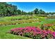 Beautiful flower garden showcasing vibrant colors and meticulously maintained landscaping at 480 S Marion Pkwy # 901, Denver, CO 80209