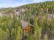 Aerial view of cabin nestled among tall evergreen trees, showcasing privacy and a natural setting in the mountains at 1673 Sinton Rd, Evergreen, CO 80439
