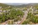 Aerial view of houses surrounded by lush greenery, set against a scenic mountain backdrop, showcasing the peaceful location at 1673 Sinton Rd, Evergreen, CO 80439
