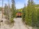 Secluded log home with driveway access, surrounded by towering trees and scenic beauty, offering privacy and tranquility at 1673 Sinton Rd, Evergreen, CO 80439