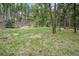 Expansive grassy area surrounded by mature trees, offering a serene setting for outdoor activities and relaxation at 1673 Sinton Rd, Evergreen, CO 80439