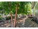 Serene backyard featuring mature trees, a rock garden, and multiple seating areas at 1038 Mircos St, Erie, CO 80516