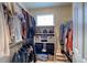 Organized walk-in closet with ample storage and shelving for clothes and accessories at 3779 Aspen Hollow Ct, Castle Rock, CO 80104