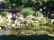 Water garden with rocks, logs and lush plants at 13126 W Warren Cir, Lakewood, CO 80228