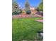 Lush backyard featuring green lawn, pine trees, and a retaining wall at 2853 Black Canyon Way, Castle Rock, CO 80109