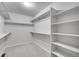 Walk-in closet with carpet, shelves, and hanging rods for optimal storage and organization at 3790 Aspen Hollow Ct, Castle Rock, CO 80104