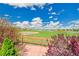 Serene backyard view with a charming wooden fence and direct access to the park at 10057 Cedaridge Way, Highlands Ranch, CO 80129