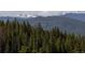 Lush evergreen trees cover rolling hills with majestic snow-capped mountains in the distance at 1521 Ski Hill Rd # 8318, Breckenridge, CO 80424