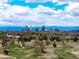 Beautiful Denver skyline and open park space at 4100 Albion St # 523, Denver, CO 80216