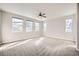 A large, sunlit primary bedroom with soft carpet and multiple windows at 461 Saber Creek Dr, Monument, CO 80132