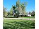 Spacious front yard featuring lush green grass and a mature tree, with a glimpse of the house in the background at 4901 Redwood Dr, Littleton, CO 80123