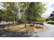 Circular driveway with mature aspen trees and bench seating at 740 W Lancers Ct, Monument, CO 80132