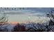 Scenic night view shows the moon among the trees, adding a tranquil, natural touch at 1243 Gaylord St # 410, Denver, CO 80206
