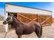 Horse stands in front of barn with large wooden sliding doors; equipment nearby at 14290 W 54Th Ave, Arvada, CO 80002