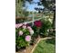 Beautiful flower garden featuring pink and red peonies along a white picket fence at 23841 E Alabama Dr, Aurora, CO 80018