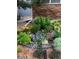 Colorful landscaping featuring a variety of flowers and green plants, bordering the house at 23841 E Alabama Dr, Aurora, CO 80018