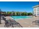 Community pool area with lounge chairs, mature trees, and a refreshing pool for residents at 452 Black Feather Loop # 612, Castle Rock, CO 80104