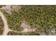 Aerial view of home nestled in the woods, with a long driveway and detached garage at 11094 Thomas Dr, Conifer, CO 80433