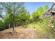 Wooded property leading up to the home with great views at 11094 Thomas Dr, Conifer, CO 80433