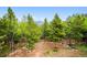 View of wooded property with clear blue skies at 11094 Thomas Dr, Conifer, CO 80433