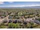 Expansive aerial view of a suburban neighborhood with lush green trees and mountain views in the distance at 9719 Burberry Way, Highlands Ranch, CO 80129