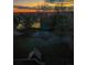 The backyard view shows a tranquil pond and garden with a beautiful sunset at 9719 Burberry Way, Highlands Ranch, CO 80129