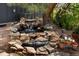 Scenic backyard rock garden with charming water feature and lush plant life at 8427 Chase Dr, Arvada, CO 80003