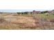 Picture of the wetland area in the backyard at 2714 Calmante Pl, Superior, CO 80027