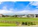 Expansive backyard view with green space, mountain views, and surrounding neighborhood at 16120 E 119Th Ave, Commerce City, CO 80022