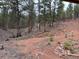 View of the property's backyard featuring a stone staircase and natural landscaping at 9705 Canon Dr, Sedalia, CO 80135