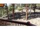 View of the property's backyard with mature trees and an occasional deer from a deck at 9705 Canon Dr, Sedalia, CO 80135
