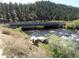Scenic view of a bridge over a rushing river surrounded by lush greenery at 9705 Canon Dr, Sedalia, CO 80135