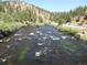 Scenic view of a fast flowing river bordered by lush greenery and trees at 9705 Canon Dr, Sedalia, CO 80135