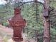 Rustic metal bear welcomes you with an American flag in a lush, forested setting at 9705 Canon Dr, Sedalia, CO 80135