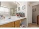 Functional bathroom featuring wood cabinets, a large mirror, and neutral decor at 21396 E Prentice Ln, Centennial, CO 80015