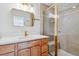 Modern bathroom showcasing a walk-in shower with gold trim, plus a stylish vanity and mirror at 9117 Buck Hill Dr, Highlands Ranch, CO 80126