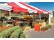 Charming farm stand abundant with fresh produce, flowers, and local goods under a festive tent at 1542 Kilkenny, Boulder, CO 80303
