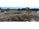 Spacious vacant lot awaiting development, surrounded by mature trees and offering endless possibilities at 6759 Canyonpoint Rd, Castle Pines, CO 80108
