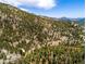 Aerial view displaying the home surrounded by lush trees in its mountain setting, shown by a white arrow at 1608 Beaver Brook Canyon Rd, Evergreen, CO 80439