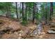 Peaceful stream flowing through a wooded area with lush trees, offering a tranquil setting at 1608 Beaver Brook Canyon Rd, Evergreen, CO 80439